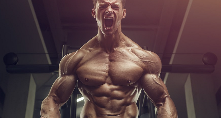 Finding the Best Drug between Dianabol and Anadrol Finding the Best Drug between Dianabol and Anadrol